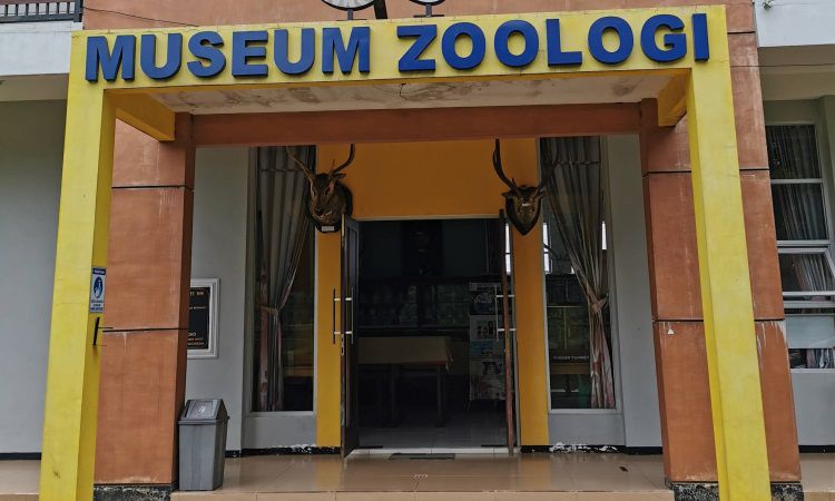 Alamat Museum Zoologi Frater Vianney