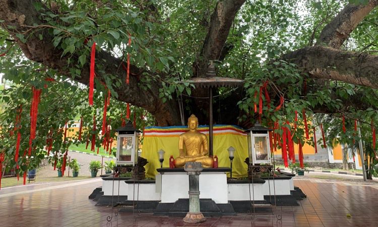 Sejarah Pagoda Avalokitesvara