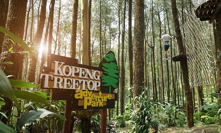 Kopeng Treetop Adventure