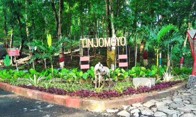 Hutan Wisata Tinjomoyo
