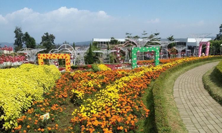 Taman Bunga Bandungan