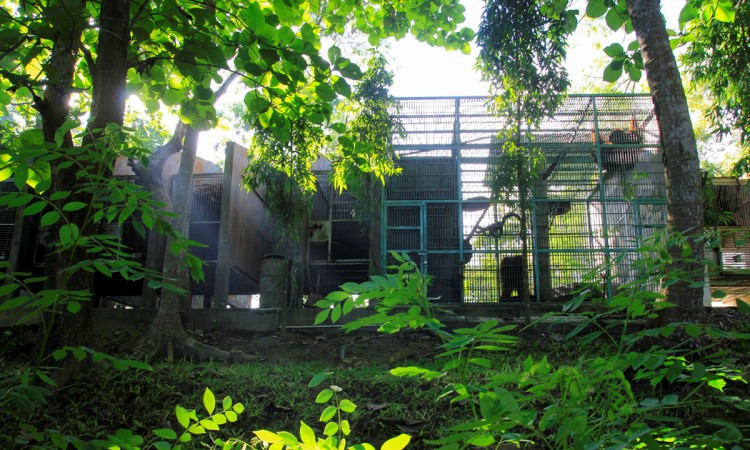 Wildlife Rescue Center