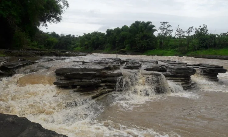 Hutan Kusumo Asri