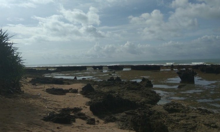 Pantai Karangmalang