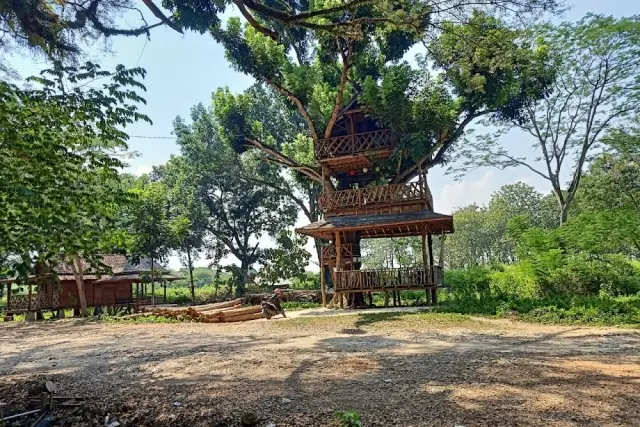 Rumah Pohon TPK Jatirogo Tuban