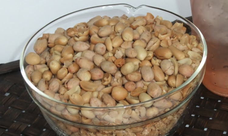 Kacang Listrik
