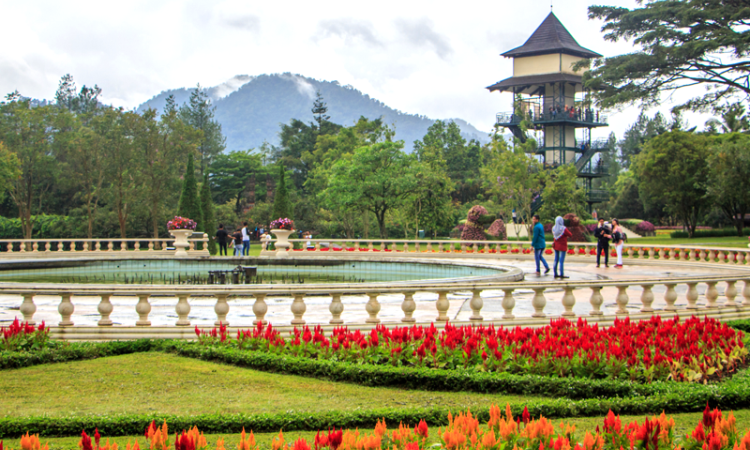 Aktifitas Menarik Untuk Dicoba di Taman Bunga Nusantara