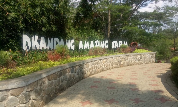 D’Kandang Amazing Farm, Destinasi Wisata Petualangan & Edukasi di Depok