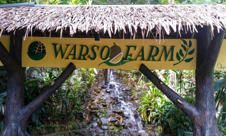 Jam Operasional Kebun Durian Warso Farm