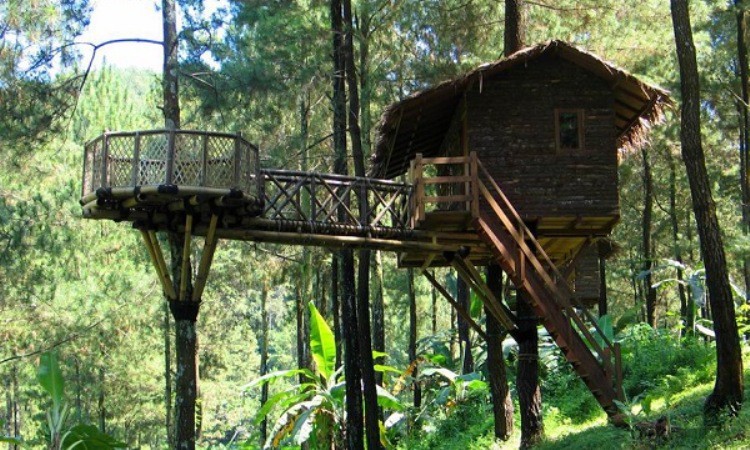 Rumah Pohon Jatiasih Wisata Alam Outbond Kekinian Di Bekasi Java Travel