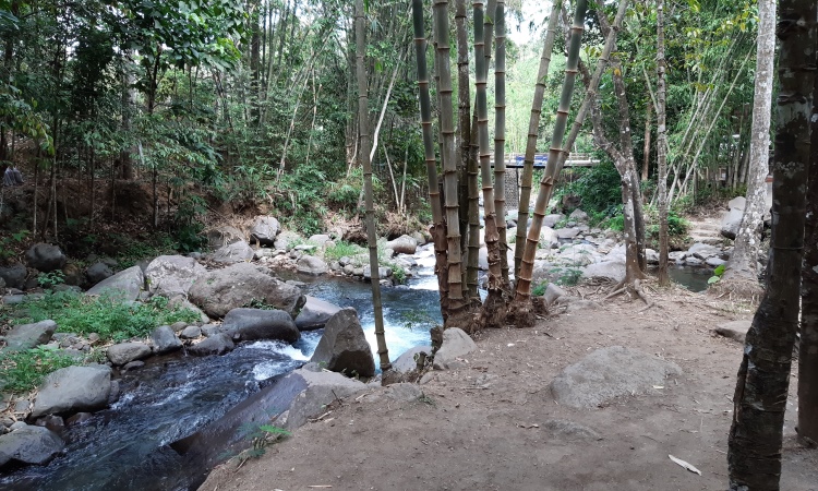 Fasilitas Cikadongdong River Tubing
