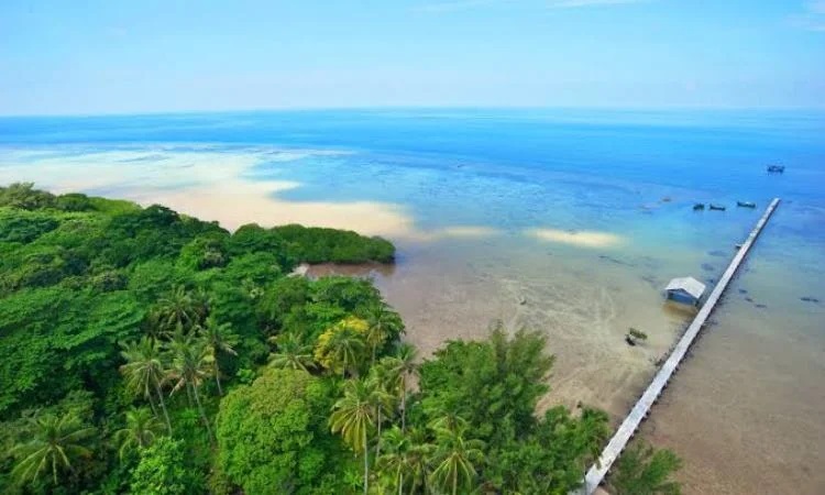 Lokasi Pulau Biawak