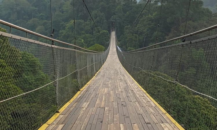 Jembatan Gantung Situ Gunung Wisata Ikonik Di Sukabumi Java Travel