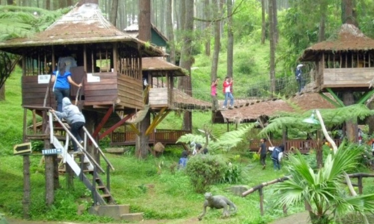 Paket Wisata & Jam Operasional Rumah Pohon Jatiasih