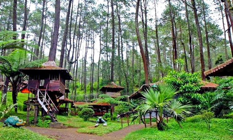 Rumah Pohon Jatiasih, Wisata Alam & Outbond Kekinian di