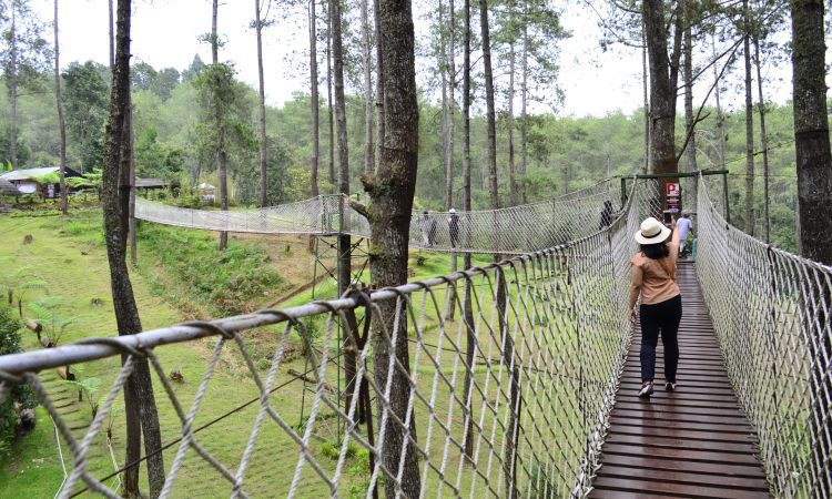 Keindahan Taman Anggrek Lembang