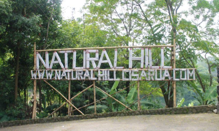 Natural Hill