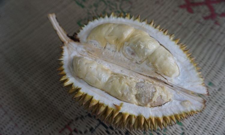Durian Perwira