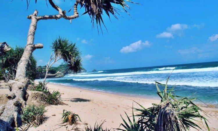 15 Wisata Pantai di Pacitan yang Hits & Populer