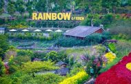 Rainbow Garden, Wisata Taman Bunga Menakjubkan di Lembang Bandung