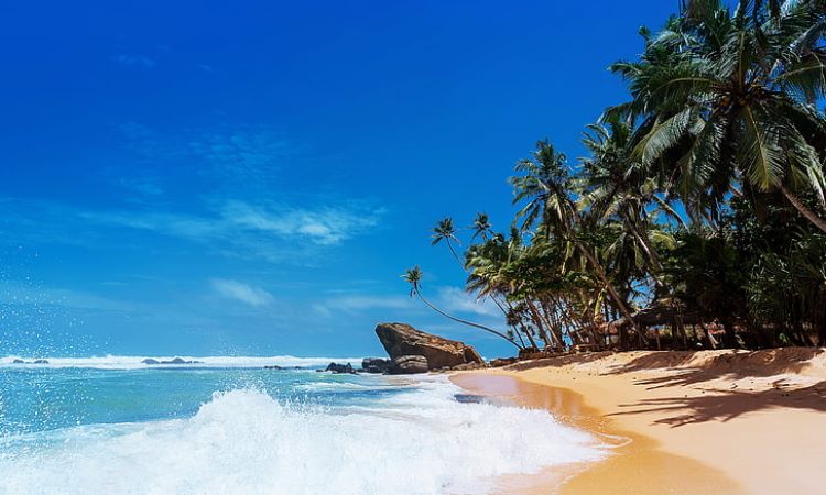 10 Wisata Pantai di Lamongan yang Hits & Populer