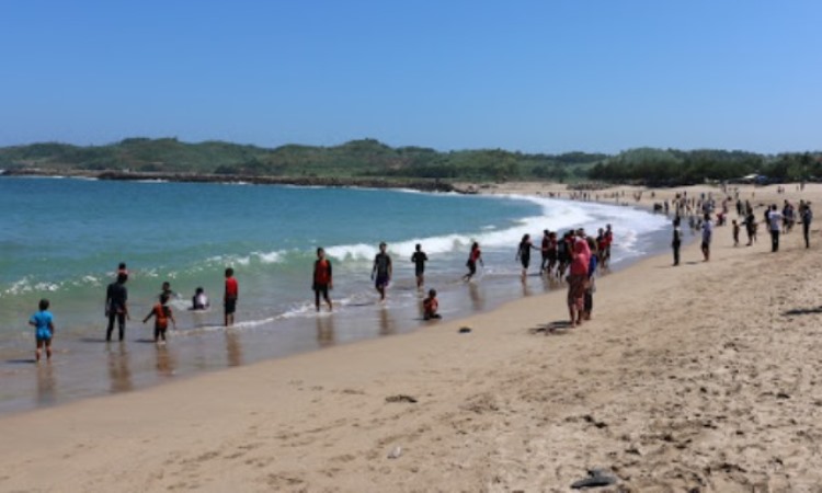 Aktivitas di Pantai Tambakrejo
