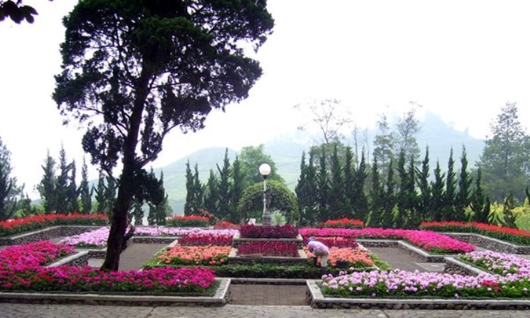 Melrimba Garden