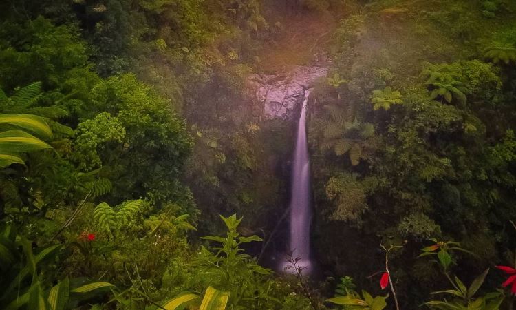 Fasilitas di Air Terjun Kedung Kayang