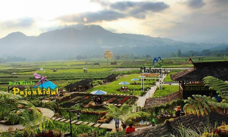 Desa Wisata Pujon Kidul, Objek Wisata Pedesaan Lagi Hits di Malang