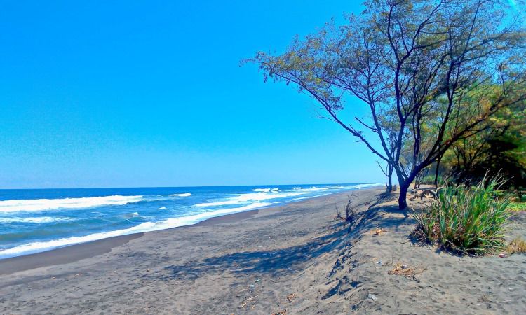 Daya Tarik Pantai Goa Cemara