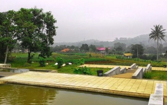 Kuntum Farmfield, Tempat Rekreasi & Edukasi Peternakan di Bogor