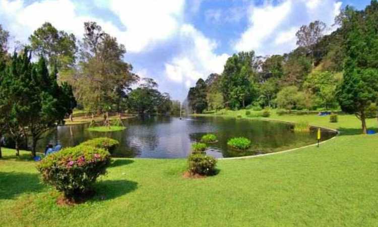 6 Wisata Keren Di Taman Wisata Cibodas Puncak