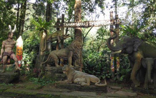 Taman Safari Bogor, Tempat Rekreasi & Edukasi Satwa di Cisarua