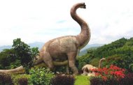 Taman Dinosaurus Majalengka, Objek Wisata Keluarga dengan Beragam Wahana Seru