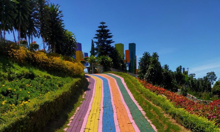 Alamat Taman Bunga Celosia
