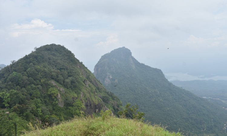 Estimasi Gunung Parang