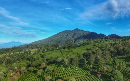 Keindahan Gunung Burangrang, Menikmati Pesona Jawa Barat dari Ketinggian