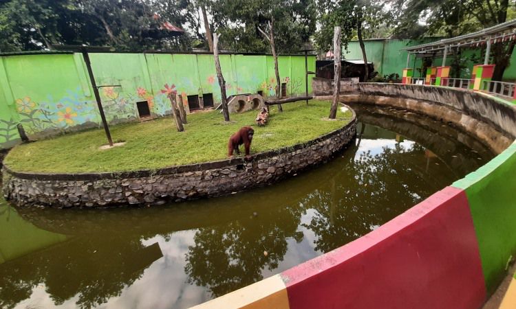 Kegiatan Semarang Zoo