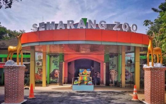 Semarang Zoo, Wisata Kebun Binatang & Edukasi yang Dilengkapi Wahana Permainan