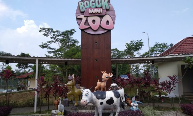 Bogor Mini Zoo, Wisata Kebun Binatang & Edukasi untuk Liburan Keluarga