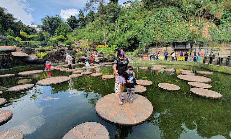 Kegiatan Menarik di Lembang Park & Zoo