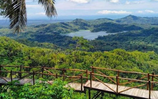 Bukit Pule Payung, Menikmati Panorama Alam Kulon Progo dari Ketinggian