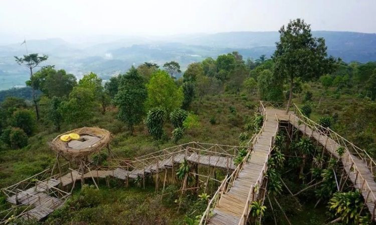 Bukit Panenjoan, Destinasi Wisata Hits dengan Panorama Alam Memukau di Purwakarta