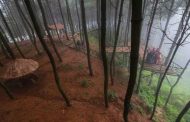 Bukit Senyum, Objek Wisata Alam Hits dengan Panorama Hutan Pinus di Bandung