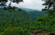 Gunung Ciwaru, Menikmati Panorama Hutan Pinus & Gunung Ciremai di Majalengka