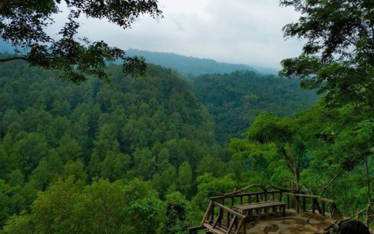 Gunung Ciwaru, Menikmati Panorama Hutan Pinus & Gunung Ciremai di Majalengka