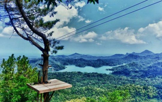Wisata Alam Kalibiru, Spot Foto Keren dengan View Alam yang Memukau di Kulon Progo