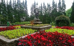 Melrimba Garden, Destinasi Wisata Favorit untuk Liburan Keluarga di Bogor