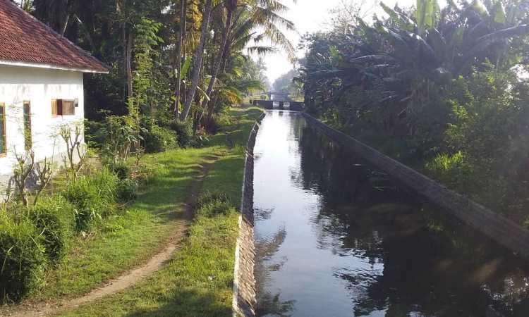 Desa Wisata Pulesari, Tempat Rekreasi Agrowisata di Sleman Jogja