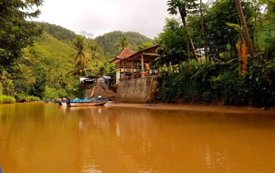 Sungai Maron, Menyusuri Sungai Amazon ala Indonesia di Pacitan